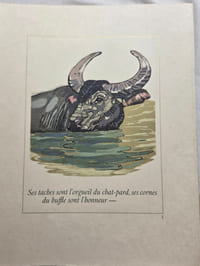 LA CHASSE DE KAA .