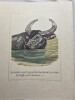 LA CHASSE DE KAA . . KIPLING Rudyard 