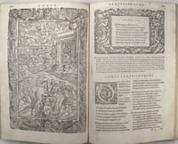 Orlando Furioso, Tutto ricorretto, & di nuoue Figure adornato. Con le Annotationi, gli Avertimenti, & le Dichiarationi di Jeronimo Ruscelli. La Vita dell'Autore descritta dal Signor Giovan Battista Pigna. Gli Scontri de' luoghi mutati dall'Autore dopo la prima impressione. La dichiaratione di tutte le Istorie, & Fauole toccate nel presente libro, fatte da M. Nicolò Eugenico. Di nuouo aggiuntoui Li Cinque Canti del medesimo Autore.