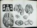 Anatomie et physiologie du système nerveux de l'homme et des animaux vertébrés; ouvrage contenant des observations pathologiques relatives au système ...
