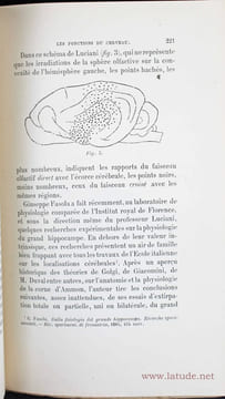 Les fonctions du cerveau. Doctrines de l'Ecole de Strasbourg, doctrines de l'Ecole italienne. Deuxième édition, revue et corrigée.. SOURY, Jules