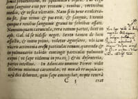 Observationum et curationum medicinalium libri duo: XXIV. De renum affectibus ac morbis. XXV. De vesicae malis ac affectibus. Etiam adjectis scholiis, in quibus eorum causae, signa, prognoses, curatio graphice depinguntur. Accessit D. Johannis Heurnii [Johan van Heurne] ad D. Petrum Forestum De humana felicitate libellus.