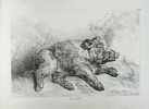 Recueil de divers animaux de chasse tiré du cabinet de monsieur le comte de Tessin dessiné daprès nature.. OUDRY, Jean Baptiste