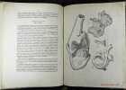 Sur le Sivatherium considéré sous le point de vue de ses révélations contestées relativement à la philosophie zoologique.. GEOFFROY SAINT-HILAIRE, ...