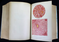 Traité de pathologie mentale. Publié sous la direction de G. Ballet par MM. Anglade, Arnaud, Colin, Dupré, Roubinovitch, Séglas, Vallon.