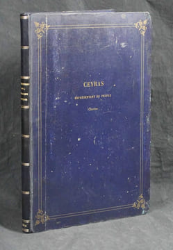 Constitution de la République française précédée des rapports et décrets qui y sont relatifs.. CONSTITUTION