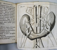 Exercitatio anatomica de structura & usu renum. Cui renum monstrosorum exempla, ex medicorum celebrium scriptis addidit Gerardus Blasius.