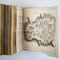 Exercitatio anatomica de structura & usu renum. Cui renum monstrosorum exempla, ex medicorum celebrium scriptis addidit Gerardus Blasius.