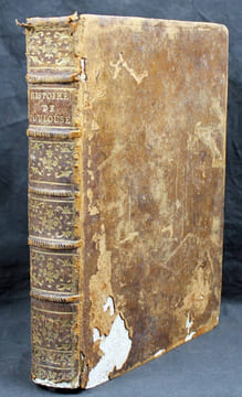 Histoire de la ville de Toulouse, avec une notice des hommes illustres, une suite chronologique et historique des évêques et archevêques de cette ...
