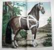 Cours d'hippiatrique, ou traité complet de la médecine des chevaux, orné de soixante & cinq planches gravées avec soin.. LAFOSSE, Philippe-Etienne