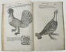 Icones avium omnium quae in historia avium describuntur. I ritratti e le figure de gli ucelli. Les figures & pourtraictz des oiseaux. Die Figuren und ...