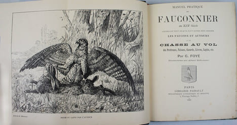 Manuel pratique du fauconnier au XIXè Siècle contenant tout ce qu'il faut savoir pour dresser les faucons et autours à la chasse au vol des perdreaux, ...
