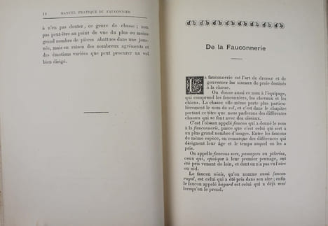 Manuel pratique du fauconnier au XIXè Siècle contenant tout ce qu'il faut savoir pour dresser les faucons et autours à la chasse au vol des perdreaux, ...