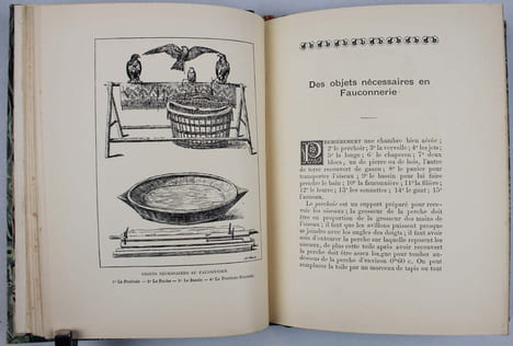Manuel pratique du fauconnier au XIXè Siècle contenant tout ce qu'il faut savoir pour dresser les faucons et autours à la chasse au vol des perdreaux, ...