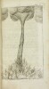 Conjectures physiques sur deux colonnes de nuë qui ont paru depuis quelques années et sur les plus extraordinaires effets du tonnerre. Avec une ...