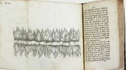 Conjectures physiques sur deux colonnes de nuë qui ont paru depuis quelques années et sur les plus extraordinaires effets du tonnerre. Avec une ...