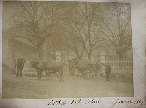 Album de la colonie agricole pénitentiaire protestante de Ste Foy (Gironde) fondée en 1842.. COLONIE PENITENTIAIRE
