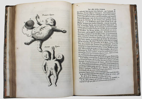 Recueil des mémoires et conférences qui ont esté présentées à Monseigneur le Dauphin pendant l'année MDCLXXII.. DENIS, Jean-Baptiste