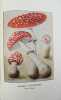 Les champignons vénéneux.. SARTORY, MAIRE