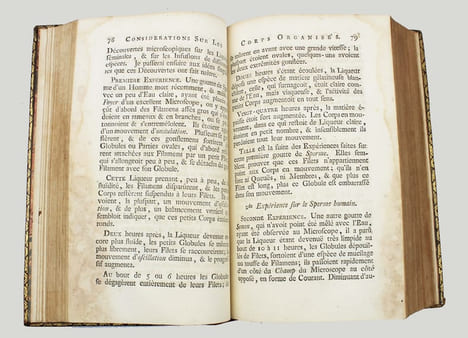 Considérations sur les corps organisés, où l'on traite de leur origine, de leur développement, de leur reproduction, etc... et où l'on a rassemblé en ...