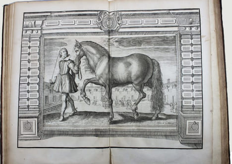 L'instruction du Roy, en l'exercice de monter à cheval.. PLUVINEL, Antoine de