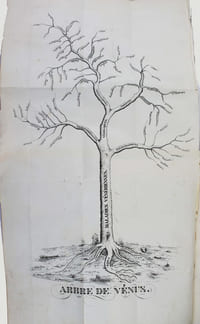 Leçons du Dr. Amussat sur les rétentions d'urine causées par les rétrécissements du canal de l'urètre et sur les maladies de la prostate; publiées sous ses yeux par A. Petit.