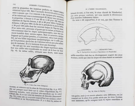 Mémoires d'anthropologie.. BROCA, Paul