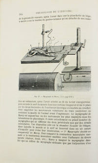 Nouveaux éléments de physiologie humaine comprenant les principes de la physiologie comparée et de la physiologie générale.