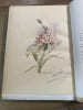Les fleurs &agrave; travers les &acirc;ges et &agrave; la fin du XIX e si&egrave;cle. Th. VILLARD