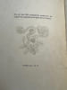 Petites &eacute;ditations sur les litanies de la Vierge compositions de M. P. Verneuil. T.R.P Ollivier des fr&egrave;res pr&ecirc;cheurs