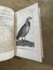 Oeuvres compl&egrave;tes de Buffon avec les suites par M. de Lac&eacute;p&egrave;de. Buffon ; M. de Lac&eacute;p&egrave;de