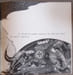 Lecture d'A Rebours. Plurielle 4. Revue de textes-images . Lequesne Jean-Luc