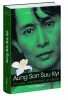 Aung San Suu Kyi Un pays une femme un destin. Bengtsson Jesper  Bruy Carine