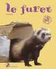 LE FURET. Abedi Eva