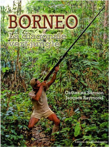 Bornéo : La diagonale vert jungle