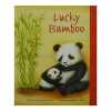 Lucky Bamboo. 