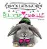 MON LAPIN NAIN PELUCHE OU CANAILLE. Germain Marie-Sophie