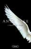 L'Heure de l'ange. Rice Anne  Loubet Pascal
