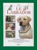 Le Labrador. Rossi Valeria