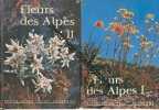 Fleurs Des Alpes I Et Ii. Walter Rytz