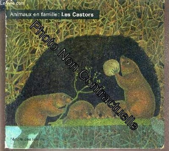 Les Castors / Collection Animaux En Famille