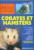 Cobayes et hamsters. V. (Vincenzo) Ferri  R. (Rita) Mabel Schiavo