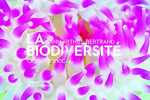 La biodiversité. Arthus-Bertrand Yann