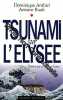 Tsunami sur l'Elysée: Pourvu que ce soit une fiction. Rault Antoine  Ambiel Dominique