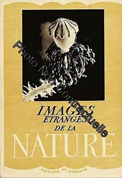 Images etranges de la nature. undefined