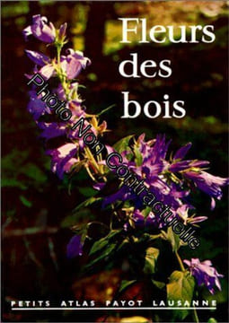 Fleurs des bois numéro 14. Rytz W