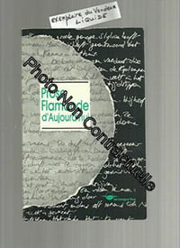 Prose flamande d'aujourd'hui