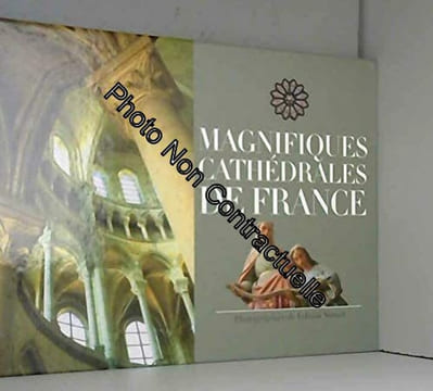 Magnifiques cathédrales de France. Nadal Elsa