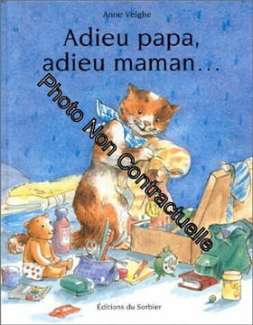 Adieu papa adieu maman. Velghe Anne