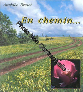 En chemin (méditation regard sur les beautés de la nature)